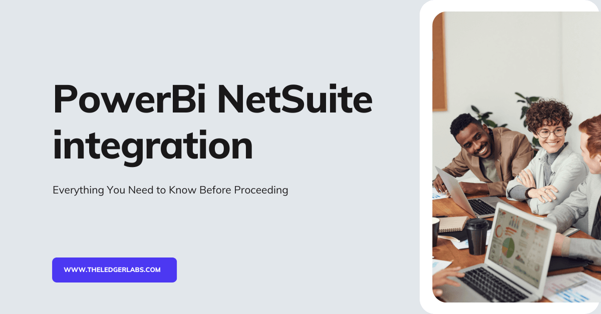 PowerBi NetSuite integration